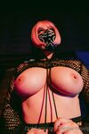 Meg Turney Nude Kitty And Fishnets Onlyfans Set Leaked